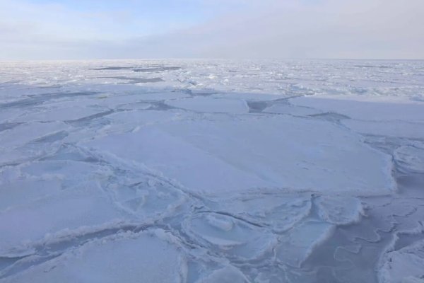 国内股票配资 好消息！地球的保护性臭氧层正在恢复